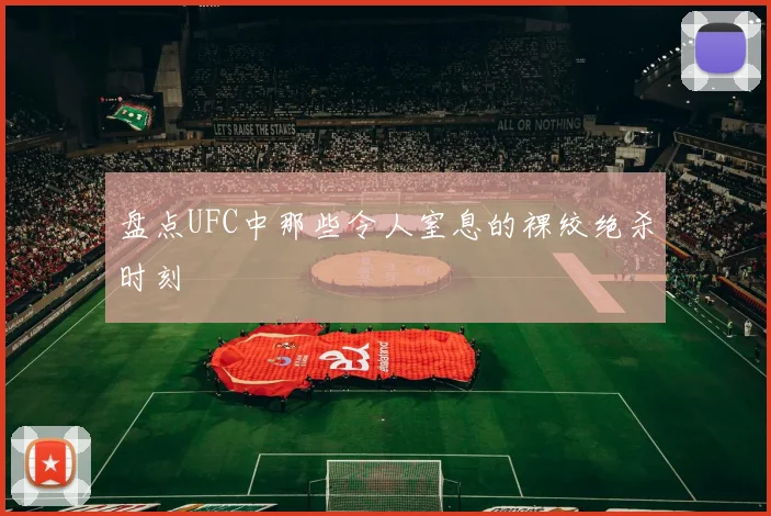 盘点UFC中那些令人窒息的裸绞绝杀时刻