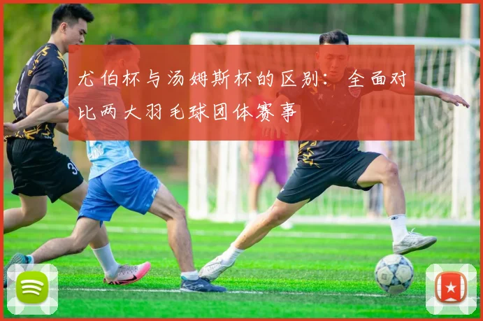 尤伯杯与汤姆斯杯的区别:全面对比两大羽毛球团体赛事