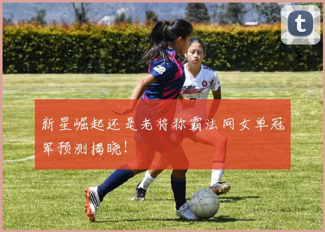 新星崛起还是老将称霸法网女单冠军预测揭晓!