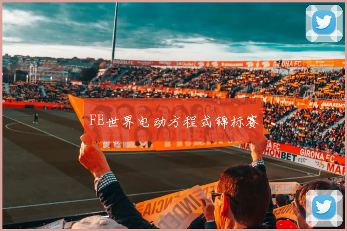 FE世界电动方程式锦标赛